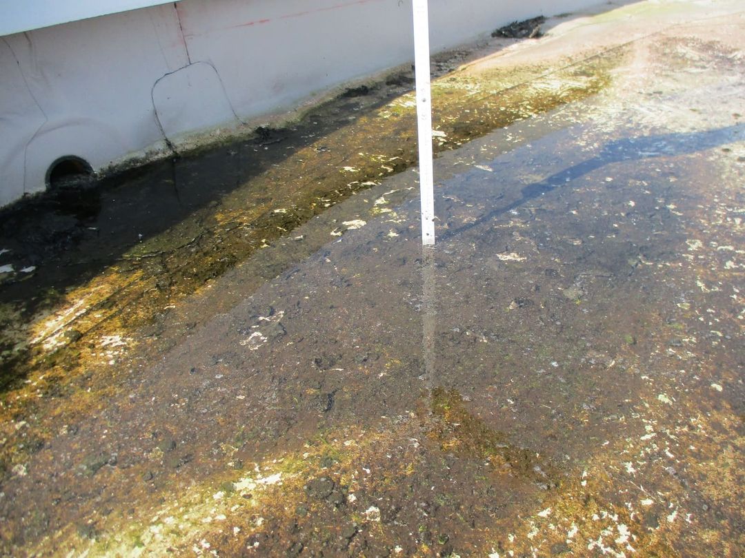 Algen und Wasser vor Ablauf – Bestandsdokumentation